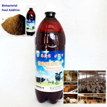 Algae Bio Agent Bacterial Agent for Feed Additive